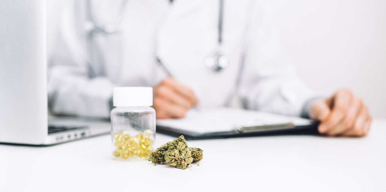 Projeto de Lei no Ceará Regulamenta Uso Medicinal da Cannabis e Avança no Reconhecimento Legal