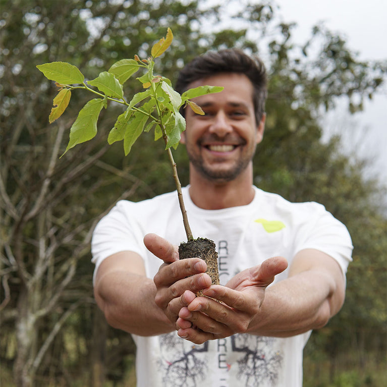 Plante Uma Árvore